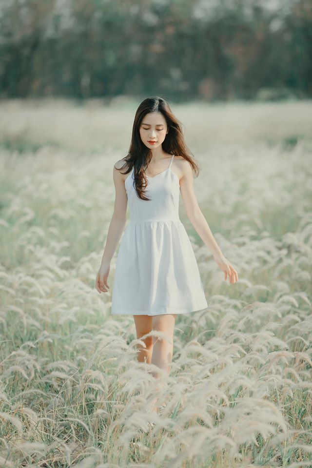 免费黄色av片